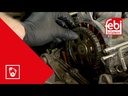 Kit de cadena de distribución FEBI BILSTEIN 174894