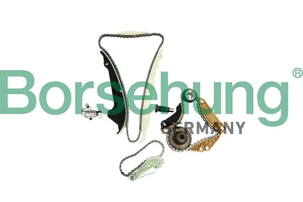 Kit de cadena de distribución Borsehung B19254