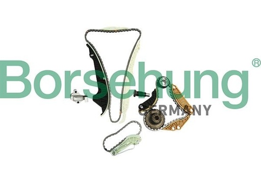 [B19254] Kit de cadena de distribución Borsehung B19254