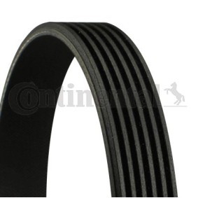 [6PK1560] Correa trapecial poli V CONTITECH 6PK1560
