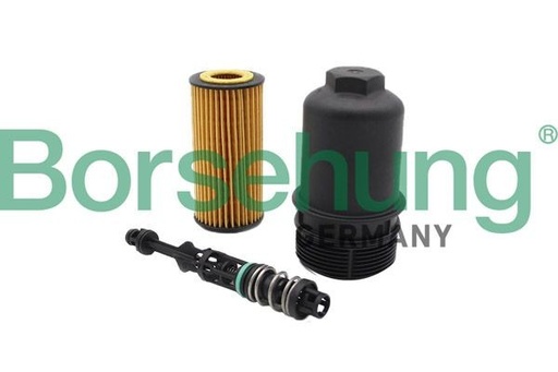 [B10435, 06L115562B, 06L115401Q, 06L115401L] Filtro de aceite del motor Borsehung AUDI A4 CJEB