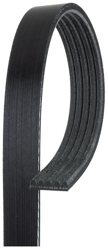 [5PK1255] Correa trapecial poli V GATES 5PK1255